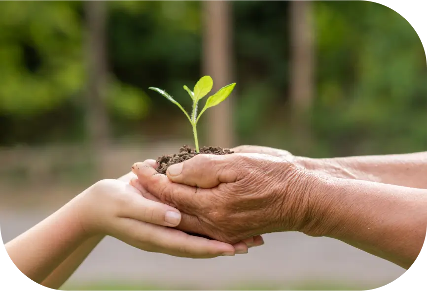 Two generations holding a young plant together